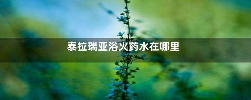 泰拉瑞亚浴火药水在哪里