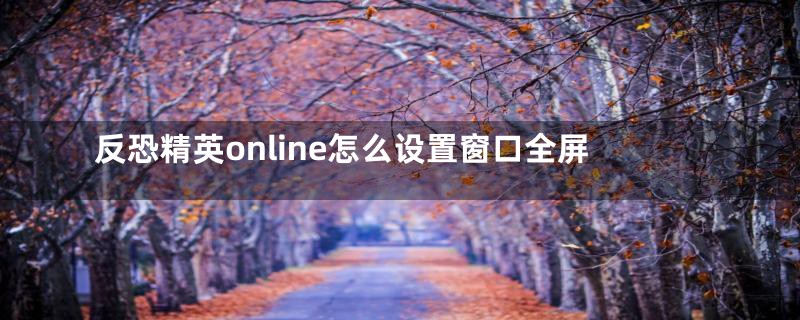 反恐精英online怎么设置窗口全屏