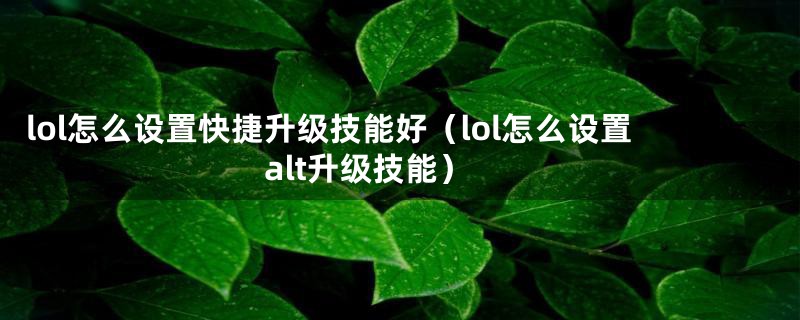 lol怎么设置快捷升级技能好（lol怎么设置alt升级技能）