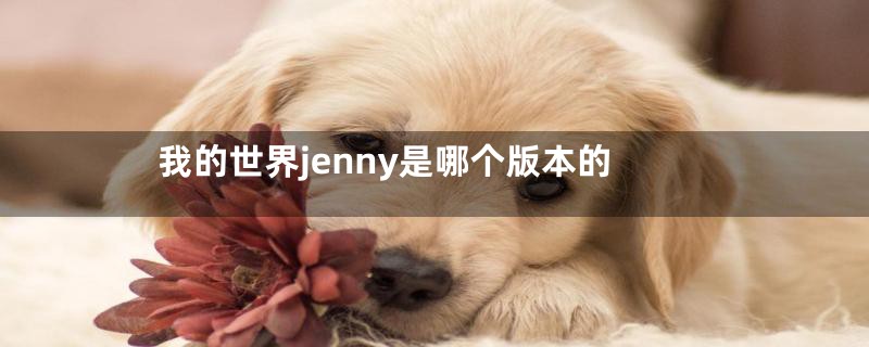 我的世界jenny是哪个版本的