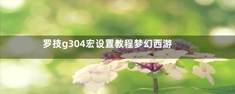 罗技g304宏设置教程梦幻西游