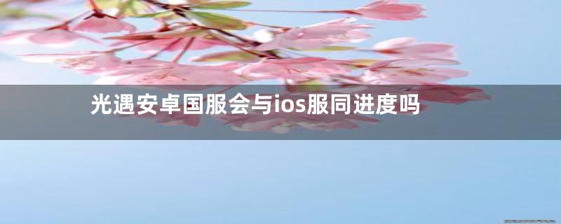 光遇安卓国服会与ios服同进度吗