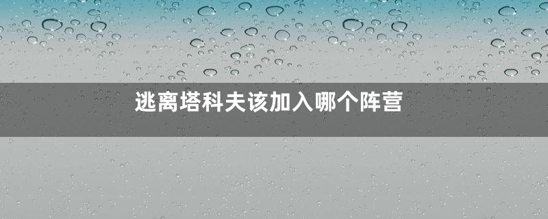 逃离塔科夫该加入哪个阵营