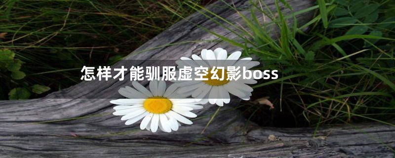 怎样才能驯服虚空幻影boss