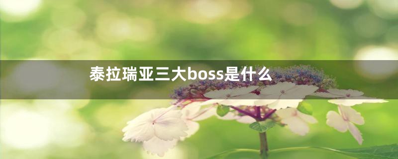 泰拉瑞亚三大boss是什么