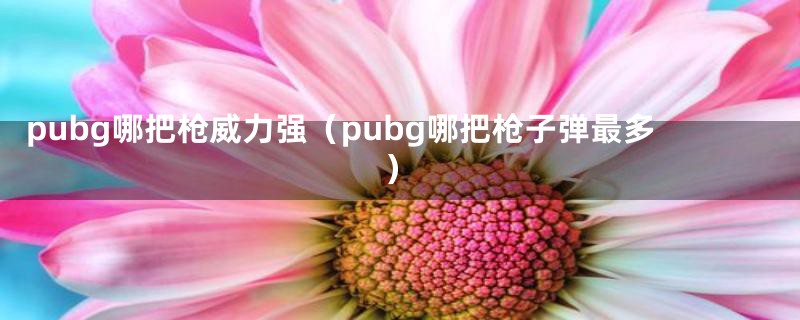 pubg哪把枪威力强（pubg哪把枪子弹最多）