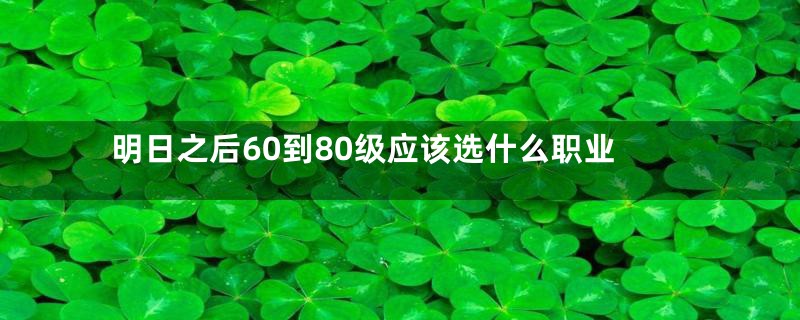 明日之后60到80级应该选什么职业