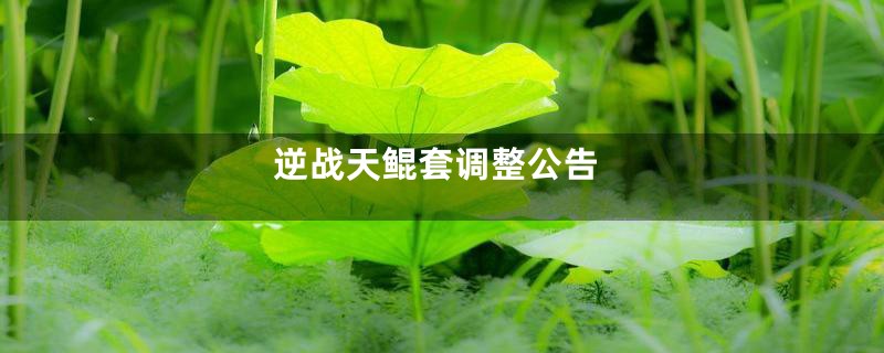 逆战天鲲套调整公告