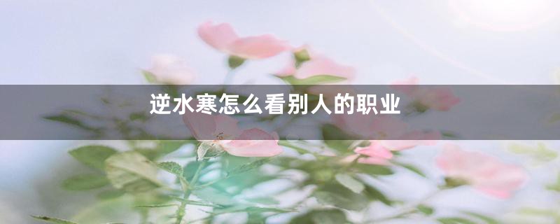 逆水寒怎么看别人的职业