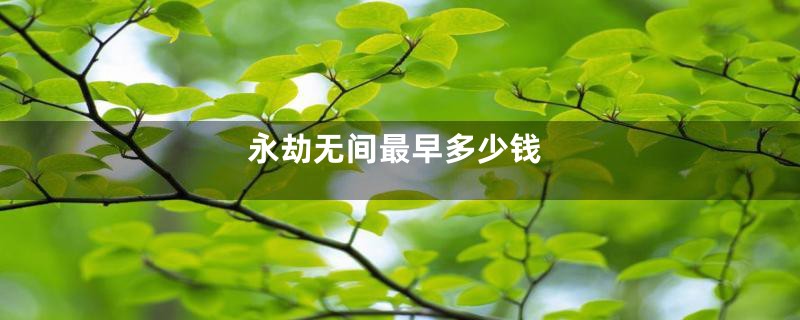 永劫无间最早多少钱