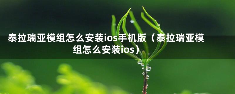 泰拉瑞亚模组怎么安装ios手机版（泰拉瑞亚模组怎么安装ios）