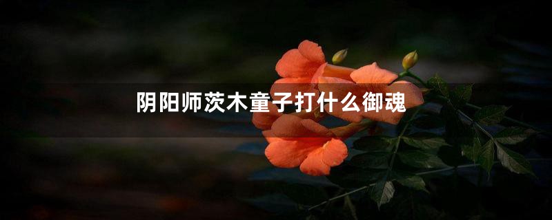 阴阳师茨木童子打什么御魂