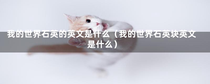 我的世界石英的英文是什么（我的世界石英块英文是什么）