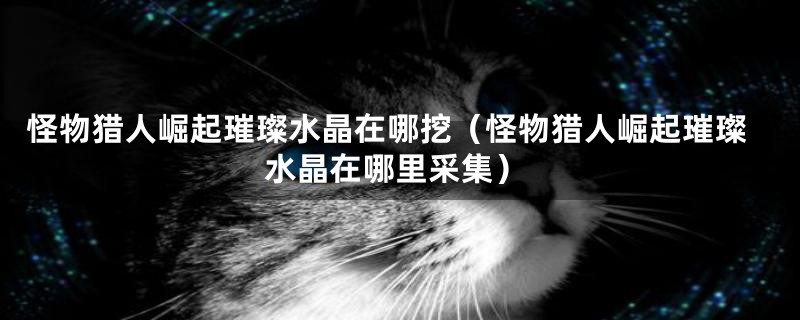 怪物猎人崛起璀璨水晶在哪挖（怪物猎人崛起璀璨水晶在哪里采集）