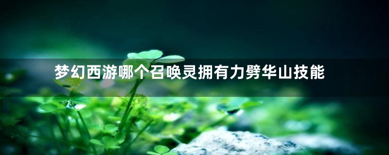 梦幻西游哪个召唤灵拥有力劈华山技能