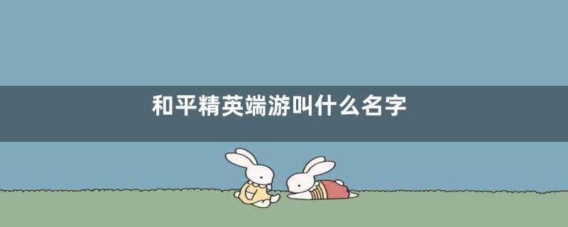 和平精英端游叫什么名字