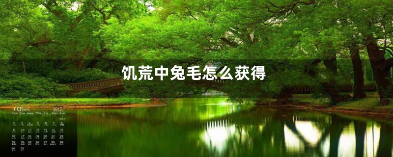 饥荒中兔毛怎么获得