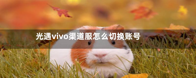 光遇vivo渠道服怎么切换账号