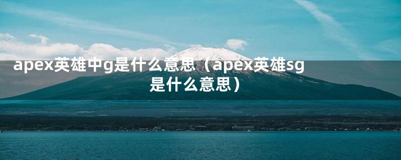 apex英雄中g是什么意思（apex英雄sg是什么意思）