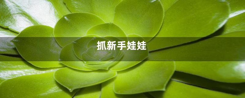 抓新手娃娃