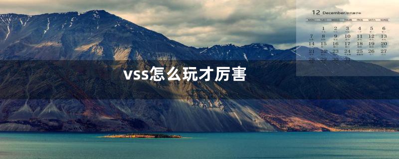 vss怎么玩才厉害