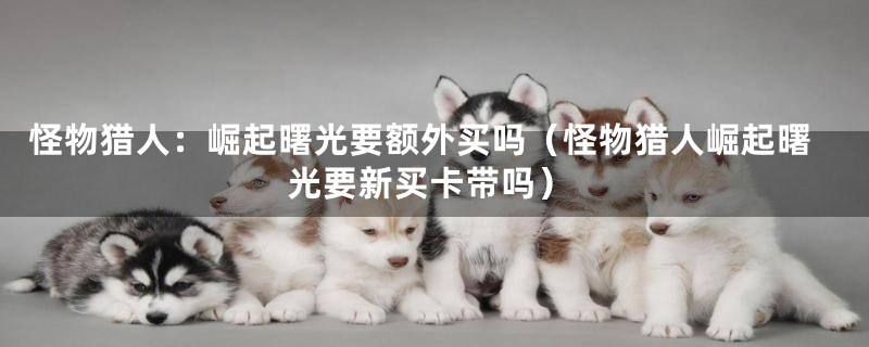 怪物猎人：崛起曙光要额外买吗（怪物猎人崛起曙光要新买卡带吗）