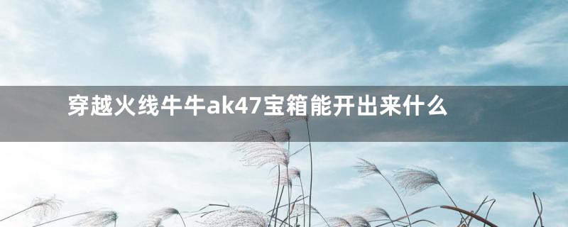 穿越火线牛牛ak47宝箱能开出来什么