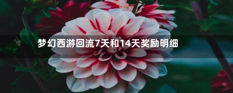 梦幻西游回流7天和14天奖励明细