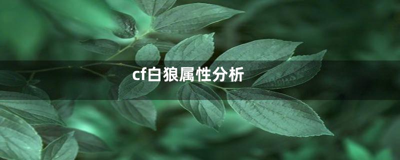 cf白狼属性分析