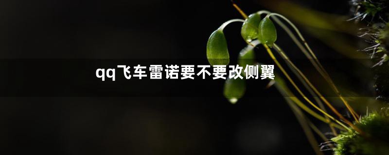 qq飞车雷诺要不要改侧翼