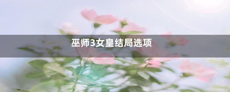 巫师3女皇结局选项