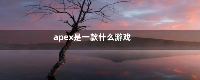 apex是一款什么游戏