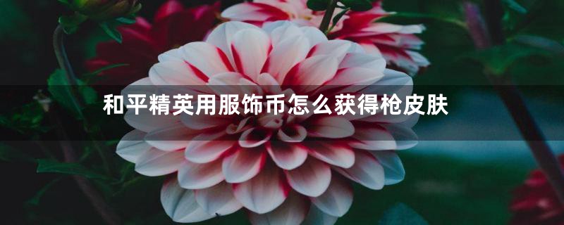 和平精英用服饰币怎么获得枪皮肤