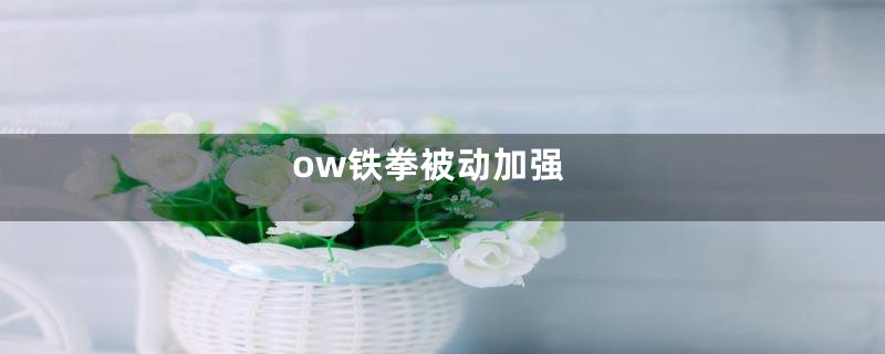 ow铁拳被动加强