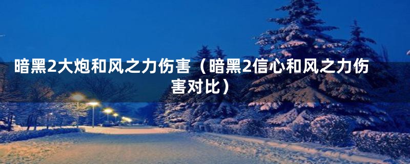 暗黑2大炮和风之力伤害（暗黑2信心和风之力伤害对比）