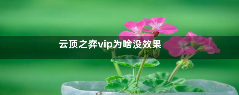 云顶之弈vip为啥没效果