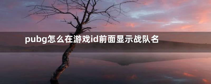 pubg怎么在游戏id前面显示战队名