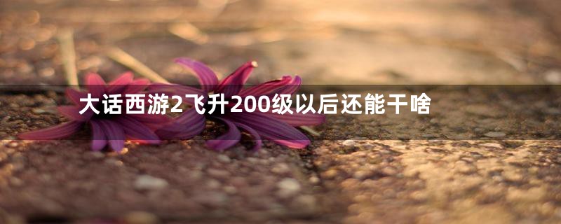 大话西游2飞升200级以后还能干啥