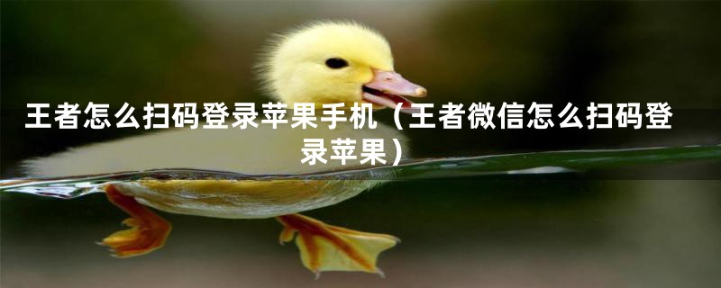 王者怎么扫码登录苹果手机（王者微信怎么扫码登录苹果）