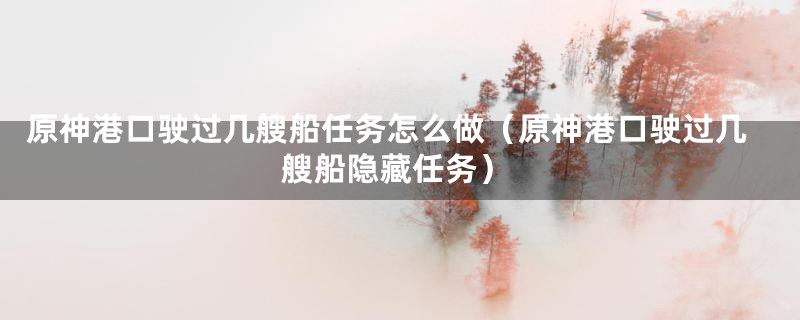 原神港口驶过几艘船任务怎么做（原神港口驶过几艘船隐藏任务）