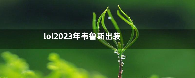 lol2023年韦鲁斯出装