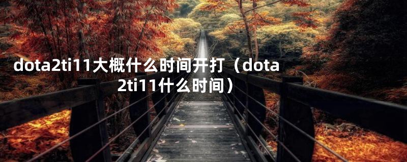 dota2ti11大概什么时间开打（dota2ti11什么时间）