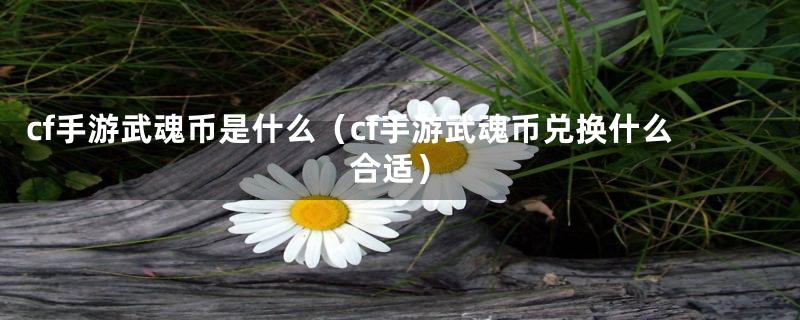 cf手游武魂币是什么（cf手游武魂币兑换什么合适）