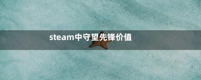 steam中守望先锋价值