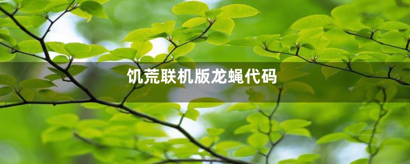 饥荒联机版龙蝇代码