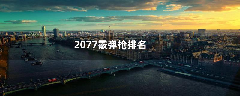 2077霰弹枪排名