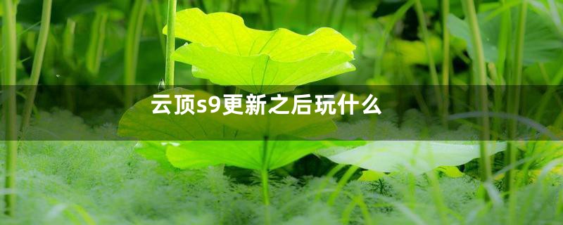 云顶s9更新之后玩什么