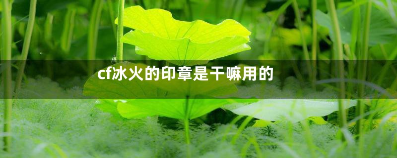 cf冰火的印章是干嘛用的