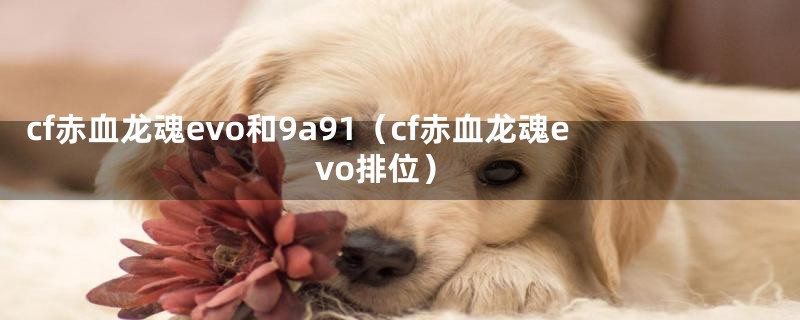 cf赤血龙魂evo和9a91（cf赤血龙魂evo排位）