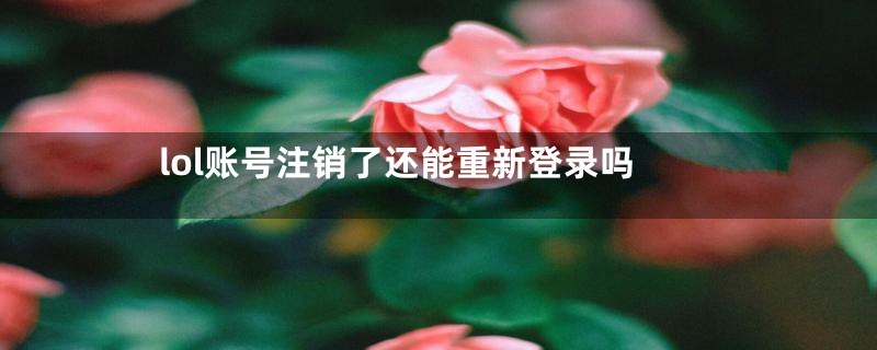 lol账号注销了还能重新登录吗